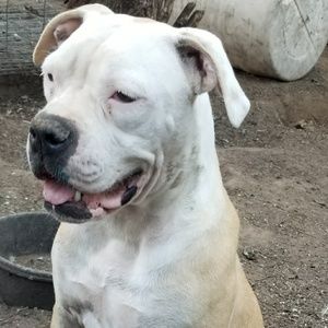 Meet your Posher, Julian